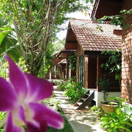 Phu Aroon Guesthouse Sukhothai Phòng bức ảnh