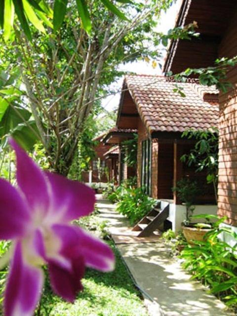 Phu Aroon Guesthouse Sukhothai Phòng bức ảnh